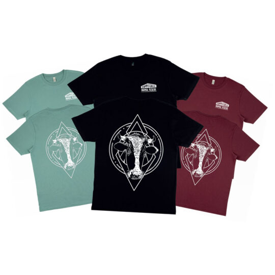 Coppershell Animal Rescue tshirts in three different colours